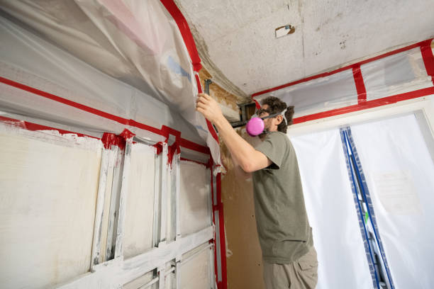 Best Water Damage & Mold Remediation  in Hamilton, MT