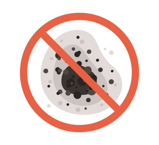 Mold Odor Removal Services in Hamilton, MT