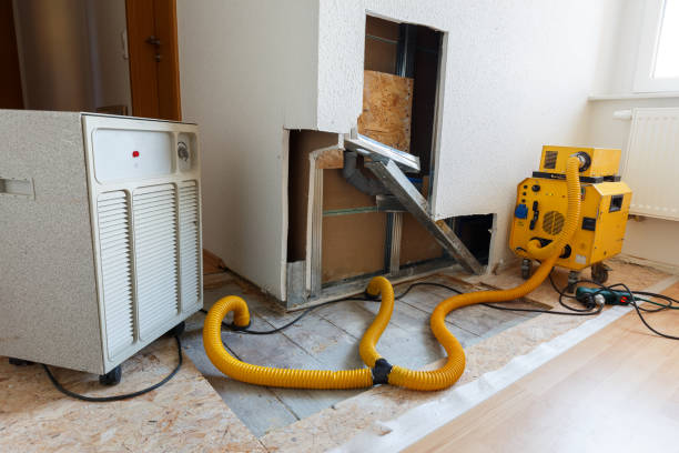 Best Mold Remediation for Healthcare Facilities  in Hamilton, MT